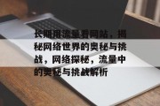 长期用流量看网站，揭秘网络世界的奥秘与挑战，网络探秘，流量中的奥秘与挑战解析