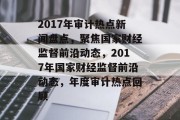 2017年审计热点新闻盘点，聚焦国家财经监督前沿动态，2017年国家财经监督前沿动态，年度审计热点回顾