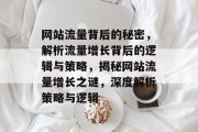 网站流量背后的秘密，解析流量增长背后的逻辑与策略，揭秘网站流量增长之谜，深度解析策略与逻辑