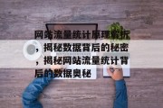 网站流量统计原理解析，揭秘数据背后的秘密，揭秘网站流量统计背后的数据奥秘