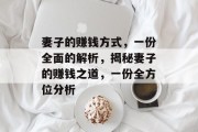 妻子的赚钱方式，一份全面的解析，揭秘妻子的赚钱之道，一份全方位分析