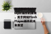 探讨网站FlashPlayer插件的未来，关于网站FlashPlayer插件的未来展望