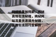 网站流量如何刷，揭秘高效引流秘籍，揭秘网站流量快速提升秘籍，高效引流技巧全解析