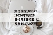 集信国控(08629)2024年8月26日-9月3日招股 拟发售1017.9万股