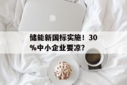 储能新国标实施！30%中小企业要凉？