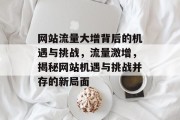 网站流量大增背后的机遇与挑战，流量激增，揭秘网站机遇与挑战并存的新局面