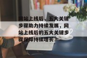 网站上线后，五大关键步骤助力持续发展，网站上线后的五大关键步骤保障持续增长