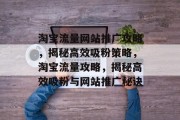 淘宝流量网站推广攻略，揭秘高效吸粉策略，淘宝流量攻略，揭秘高效吸粉与网站推广秘诀