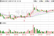 晶华微：7月29日召开董事会会议