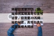 揭秘日流量20万，网站如何实现高效引流与运营，日流量20万网站的秘密，高效引流与运营策略大揭秘