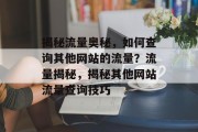 揭秘流量奥秘，如何查询其他网站的流量？流量揭秘，揭秘其他网站流量查询技巧