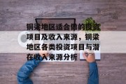 铜梁地区适合做的投资项目及收入来源，铜梁地区各类投资项目与潜在收入来源分析