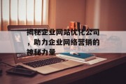 揭秘企业网站优化公司，助力企业网络营销的神秘力量
