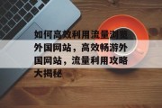 如何高效利用流量浏览外国网站，高效畅游外国网站，流量利用攻略大揭秘