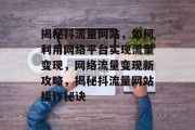 揭秘抖流量网站，如何利用网络平台实现流量变现，网络流量变现新攻略，揭秘抖流量网站操作秘诀