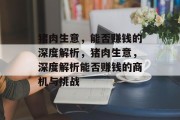 猪肉生意,能否赚钱的深度解析,猪肉生意,深度解析能否赚钱的商机与挑战 猪肉生意,能否赚钱的深度解析,猪肉生意,深度解析能否赚钱的商机与挑战