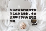 在资源丰富的环境中如何实现财富增长，丰富资源环境下的财富增值策略