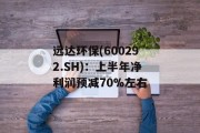 远达环保(600292.SH)：上半年净利润预减70%左右