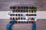 揭秘广告流量赚钱网站，如何利用网络流量实现财富增长，揭秘网络流量变现奥秘，打造广告流量赚钱网站攻略