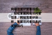 网站流量IP查看技巧，轻松掌握网站访问者信息，网站流量IP分析，掌握访问者信息的关键技巧