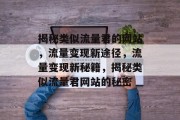 揭秘类似流量君的网站，流量变现新途径，流量变现新秘籍，揭秘类似流量君网站的秘密