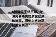 A股公司亮相巴黎，沪深交易所携优质企业到访法国，哪些上市公司被重点关注？