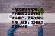 网站流量提升攻略，如何利用菠菜关键词吸引精准用户，菠菜关键词策略，精准引流网站流量提升秘籍