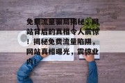 免费流量骗局揭秘，网站背后的真相令人震惊！揭秘免费流量陷阱，网站真相曝光，震惊业内！