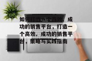 如何打造一个高效、成功的销售平台，打造一个高效、成功的销售平台，策略与实践指南