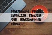 网站流量盈利，揭秘高效转化之道，网站流量变现，揭秘高效转化盈利策略