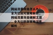 网站流量攻击怎么办？全方位应对策略解析，网站流量攻击破解之道，全方位防御策略深度解析