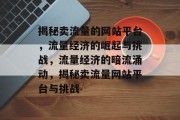 揭秘卖流量的网站平台，流量经济的崛起与挑战，流量经济的暗流涌动，揭秘卖流量网站平台与挑战