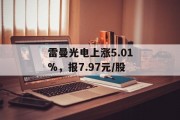 雷曼光电上涨5.01%，报7.97元/股