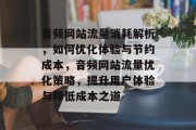 音频网站流量消耗解析，如何优化体验与节约成本，音频网站流量优化策略，提升用户体验与降低成本之道