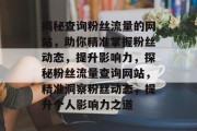 揭秘查询粉丝流量的网站，助你精准掌握粉丝动态，提升影响力，探秘粉丝流量查询网站，精准洞察粉丝动态，提升个人影响力之道