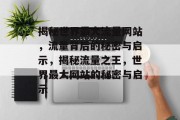 揭秘世界最大流量网站，流量背后的秘密与启示，揭秘流量之王，世界最大网站的秘密与启示