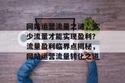 网站运营流量之谜，多少流量才能实现盈利？流量盈利临界点揭秘，网站运营流量转化之道