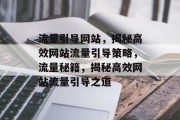 流量引导网站，揭秘高效网站流量引导策略，流量秘籍，揭秘高效网站流量引导之道