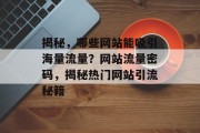 揭秘，哪些网站能吸引海量流量？网站流量密码，揭秘热门网站引流秘籍