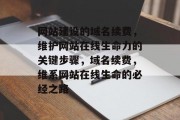 网站建设的域名续费，维护网站在线生命力的关键步骤，域名续费，维系网站在线生命的必经之路