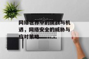 网络世界中的挑战与机遇，网络安全的威胁与应对策略