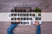 网站倒流量，揭秘网络营销中的秘密武器，网络营销流量密码，揭秘网站倒流技巧