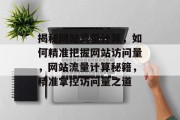 揭秘网站流量计算，如何精准把握网站访问量，网站流量计算秘籍，精准掌控访问量之道