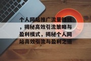 个人网站推广流量赚钱，揭秘高效引流策略与盈利模式，揭秘个人网站高效引流与盈利之道