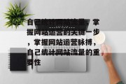 自己统计网站流量，掌握网站运营的关键一步，掌握网站运营脉搏，自己统计网站流量的重要性