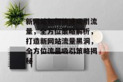 新网站如何快速吸引流量，全方位策略解析，打造新网站流量黑洞，全方位流量吸引策略揭秘