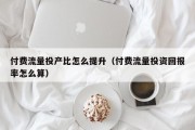 付费流量投产比怎么提升（付费流量投资回报率怎么算）