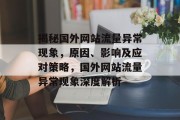 揭秘国外网站流量异常现象，原因、影响及应对策略，国外网站流量异常现象深度解析