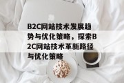 B2C网站技术发展趋势与优化策略，探索B2C网站技术革新路径与优化策略