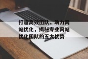 打造高效团队，助力网站优化，揭秘专业网站优化团队的五大优势